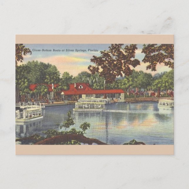 Vintage Glass Bottom Boats Florida Post Card (Front)