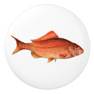 Vintage gold fish / goldfish ceramic knob