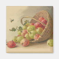 Vintage gooseberries