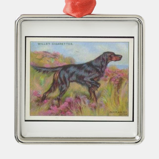 Vintage Gordon Setter  Cigarette Card Ornament (Front)