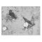 Vintage Goth Decoupage Crow Raven  Monochromatic  