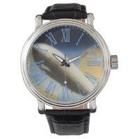 Vintage Graf Zeppelin  -roman numerals 