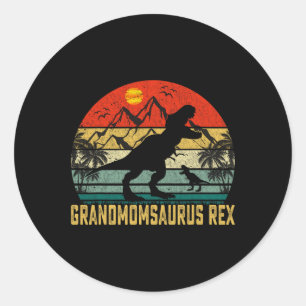 Vintage Grandmomsaurus Fun Family Christmas Mother Classic Round Sticker