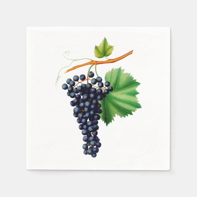 Vintage Grapes Napkin (Front)