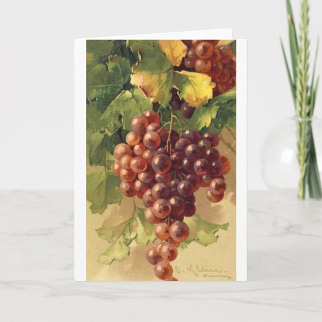 Vintage - Grapes on the Vine, Card (Front)