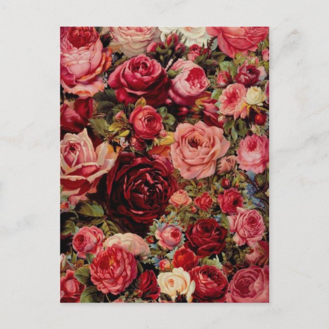 Vintage Graphic Postcard (Front)