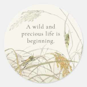 Vintage Grasshopper  Baby Shower Classic Round Sti Sticker