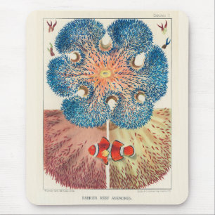Vintage Great Barrier Reef Anemones Carol Fish Mouse Pad