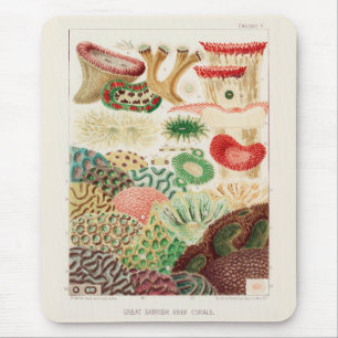 Vintage Great Barrier Reef of Australia Corals Mouse Pad