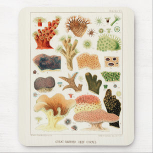 Vintage Great Barrier Reef of Australia Corals Mouse Pad