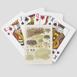 Vintage Great Barrier Reef of Australia Corals Playing Cards