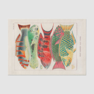 Vintage Great Barrier Reef of Australia Fishes Tissue Paper