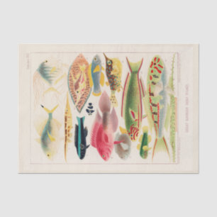 Vintage Great Barrier Reef of Australia Fishes Tissue Paper