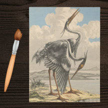 Vintage Great Blue Heron Dramatic Ornithology Bird