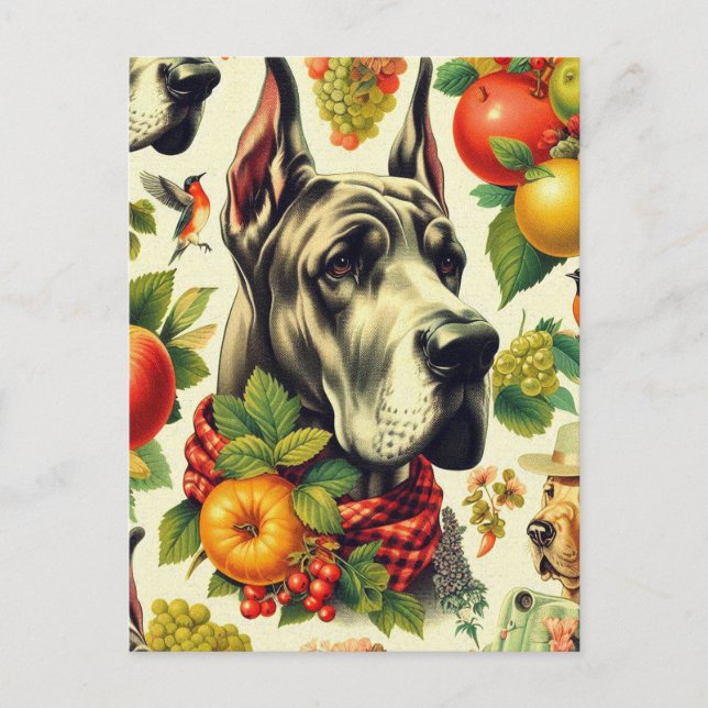 Vintage Great Dane Dog Illustration Postcard (Front)