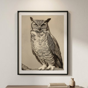 Vintage Great Horned Owl Antique Sepia Bird Poster