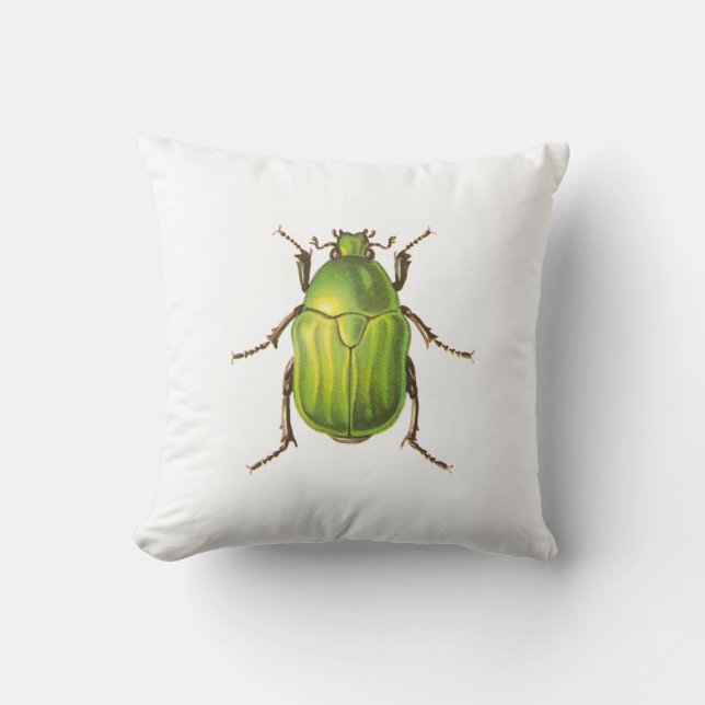 Vintage Green Beetle Illustration Cushion (Front)