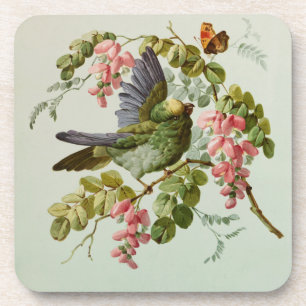 Vintage Green Bird and Pink Flowers Coaster