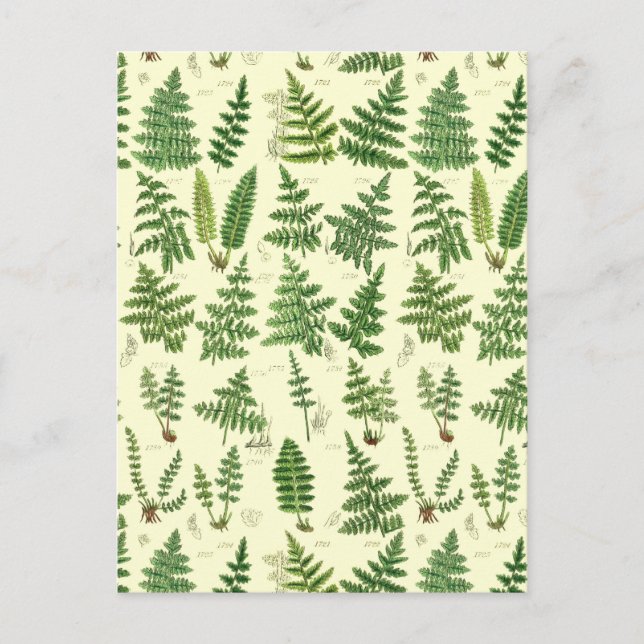 Vintage Green Leafy Plants Postcard (Front)