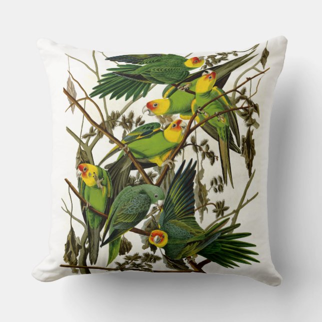Vintage Green Parakeets Parrots Cushion (Front)