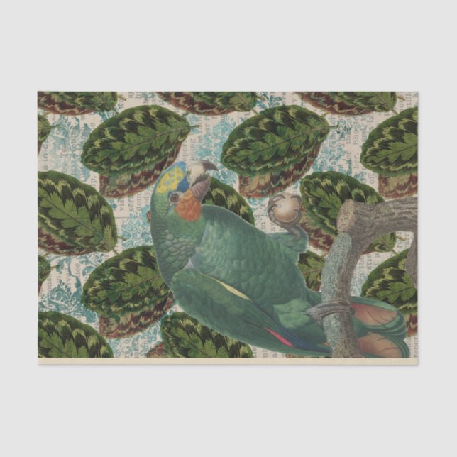 Vintage Green Parrot Tropical Tissue Paper (Front)