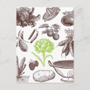 Vintage Greenmarket Postcard