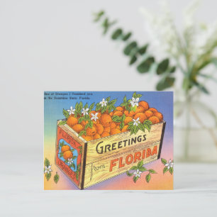 Vintage Greetings from Florida Citrus Fruit Holiday Postcard