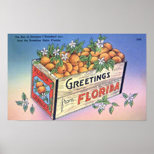 Vintage Greetings from Florida Oranges Travel Poster