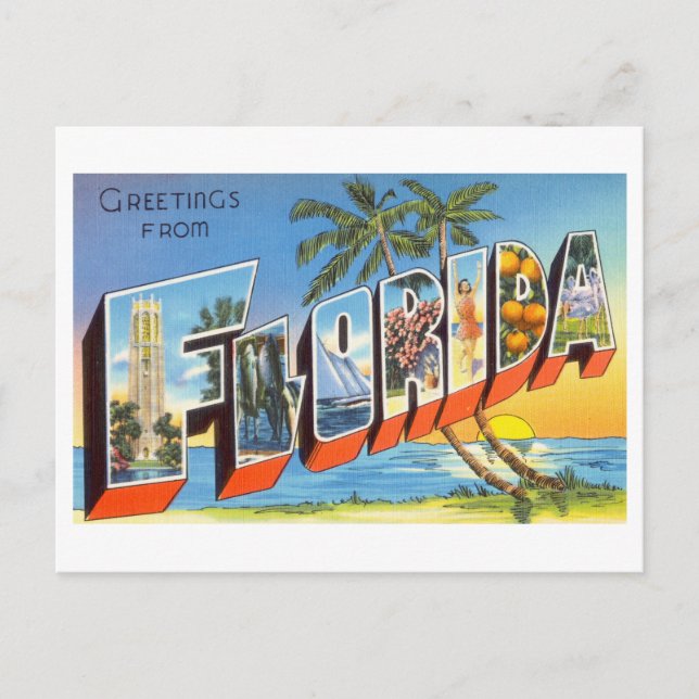 Vintage Greetings from Florida Postcard (Front)