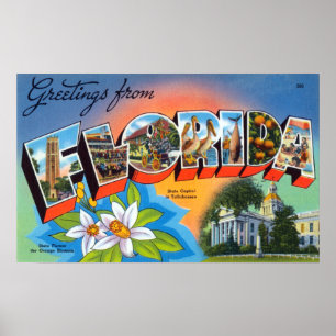 Vintage Greetings from Florida Poster
