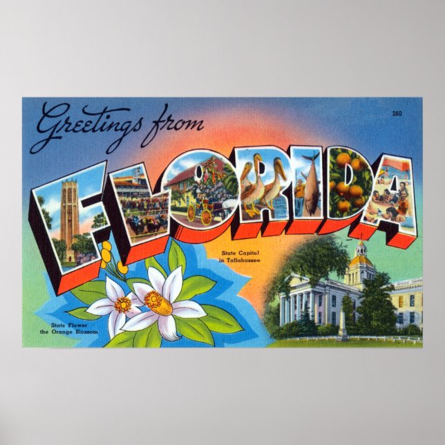 Vintage Greetings from Florida Poster (Front)