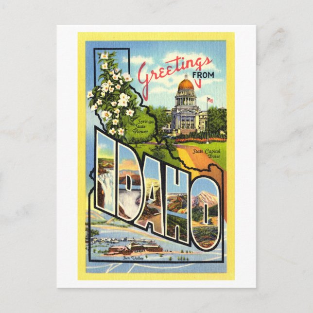 Vintage Greetings from Idaho Postcard (Front)