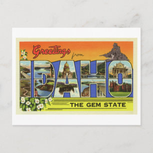 Vintage Greetings from Idaho Postcard