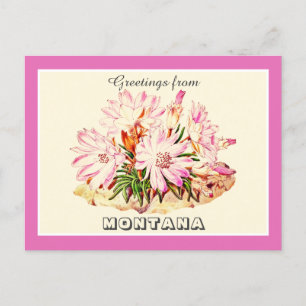 Vintage Greetings from Montana Bitterroot Postcard