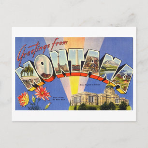 Vintage Greetings from Montana Postcard