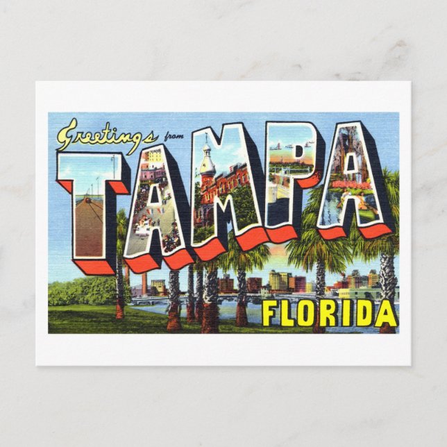 Vintage Greetings from Tampa, Florida Postcard (Front)