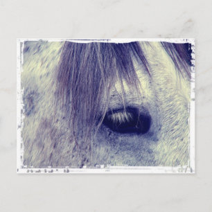 Vintage Grey Postcard