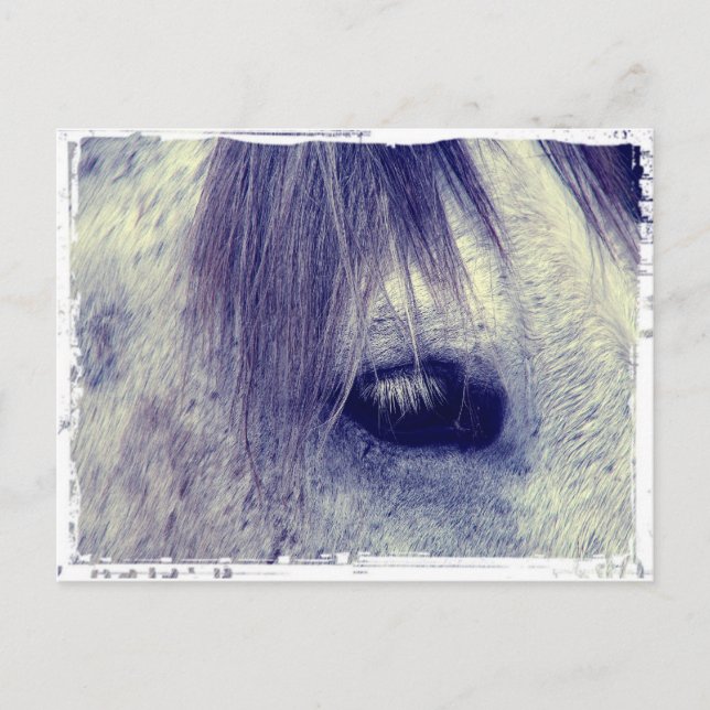 Vintage Grey Postcard (Front)