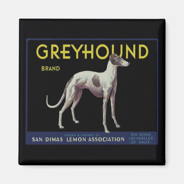 Vintage Greyhound Lemon Label Circa 1920 Magnet (Front)