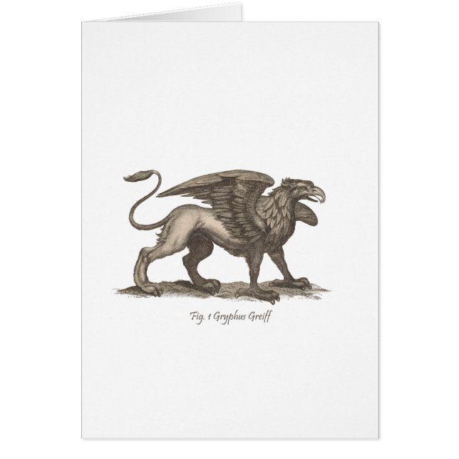 Vintage griffin (gryphus greiff) illustration. (Front)