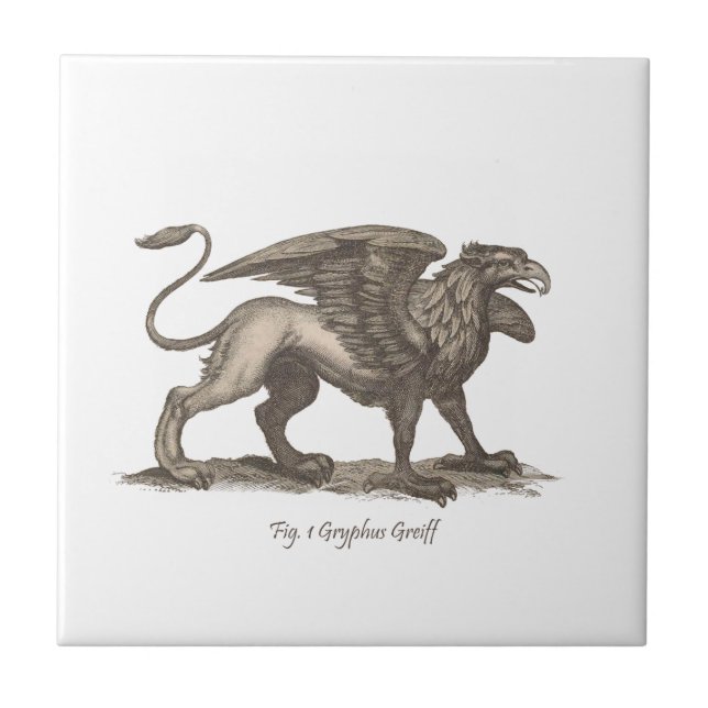 Vintage griffin (gryphus greiff) illustration. tile (Front)