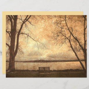 Vintage Grunge Park Bench Trees Rustic Texture