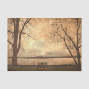 Vintage Grunge Park Bench Trees Rustic Texture Tissue Paper