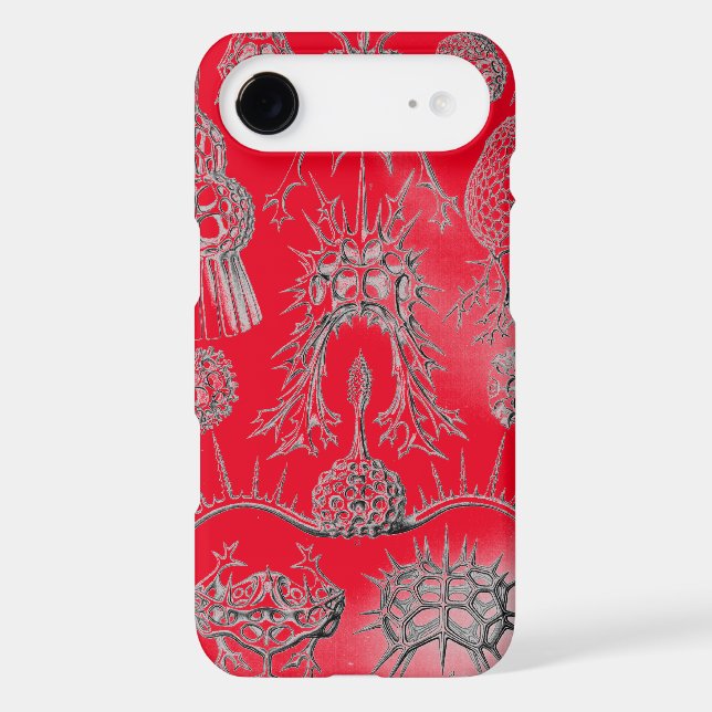 Vintage Haeckel (Back)