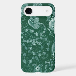 Vintage Haeckel