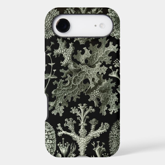 Vintage Haeckel (Back)