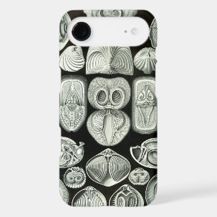 Vintage Haeckel