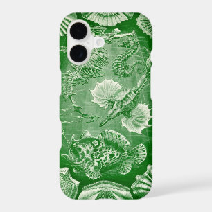 Vintage Haeckel