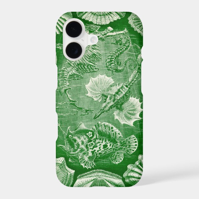 Vintage Haeckel (Back)