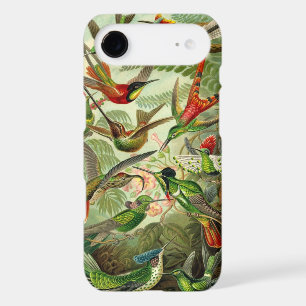 Vintage Haeckel Birds